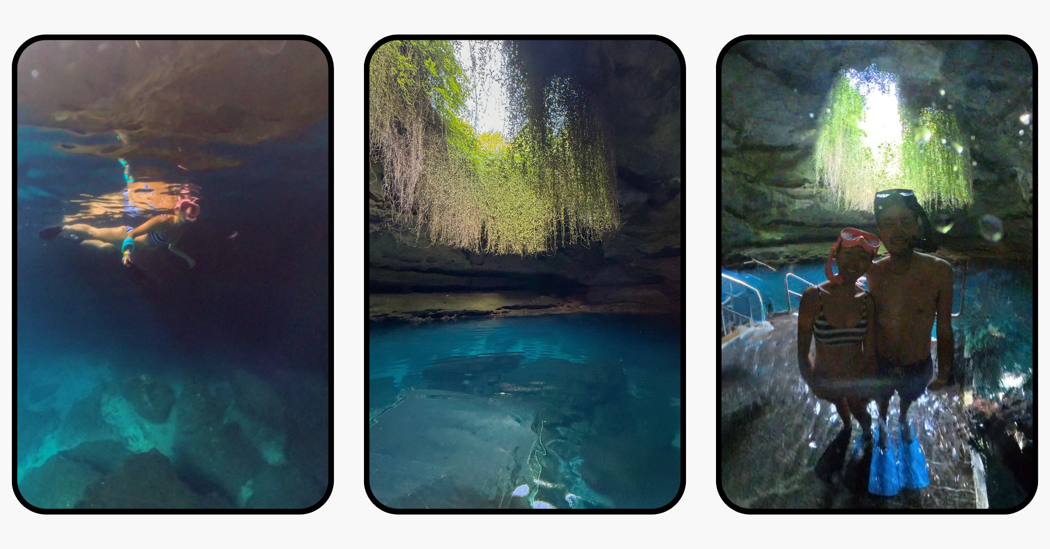 Ultimate Travel Guide to Williston, Florida: Devil's Den, Botanical Gardens, & More Ultimate Travel Guide to Williston, Florida: Devil's Den, Botanical Gardens, & More
