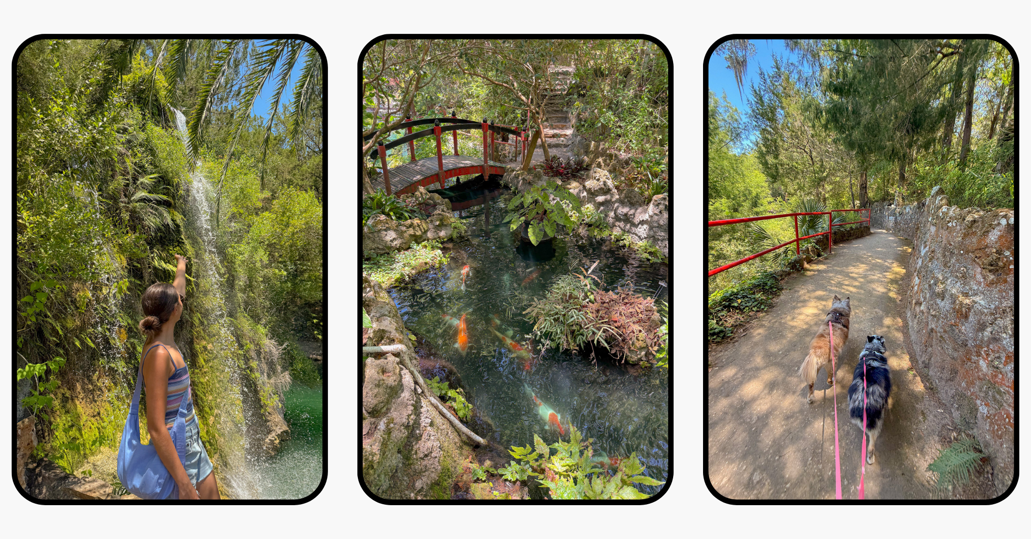 Ultimate Travel Guide to Williston, Florida: Devil's Den, Botanical Gardens, & More Ultimate Travel Guide to Williston, Florida: Devil's Den, Botanical Gardens, & More