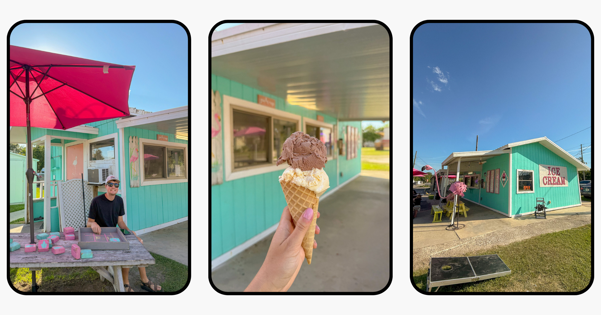 Ultimate Travel Guide to Williston, Florida: Devil's Den, Botanical Gardens, & More Ultimate Travel Guide to Williston, Florida: Devil's Den, Botanical Gardens, & More