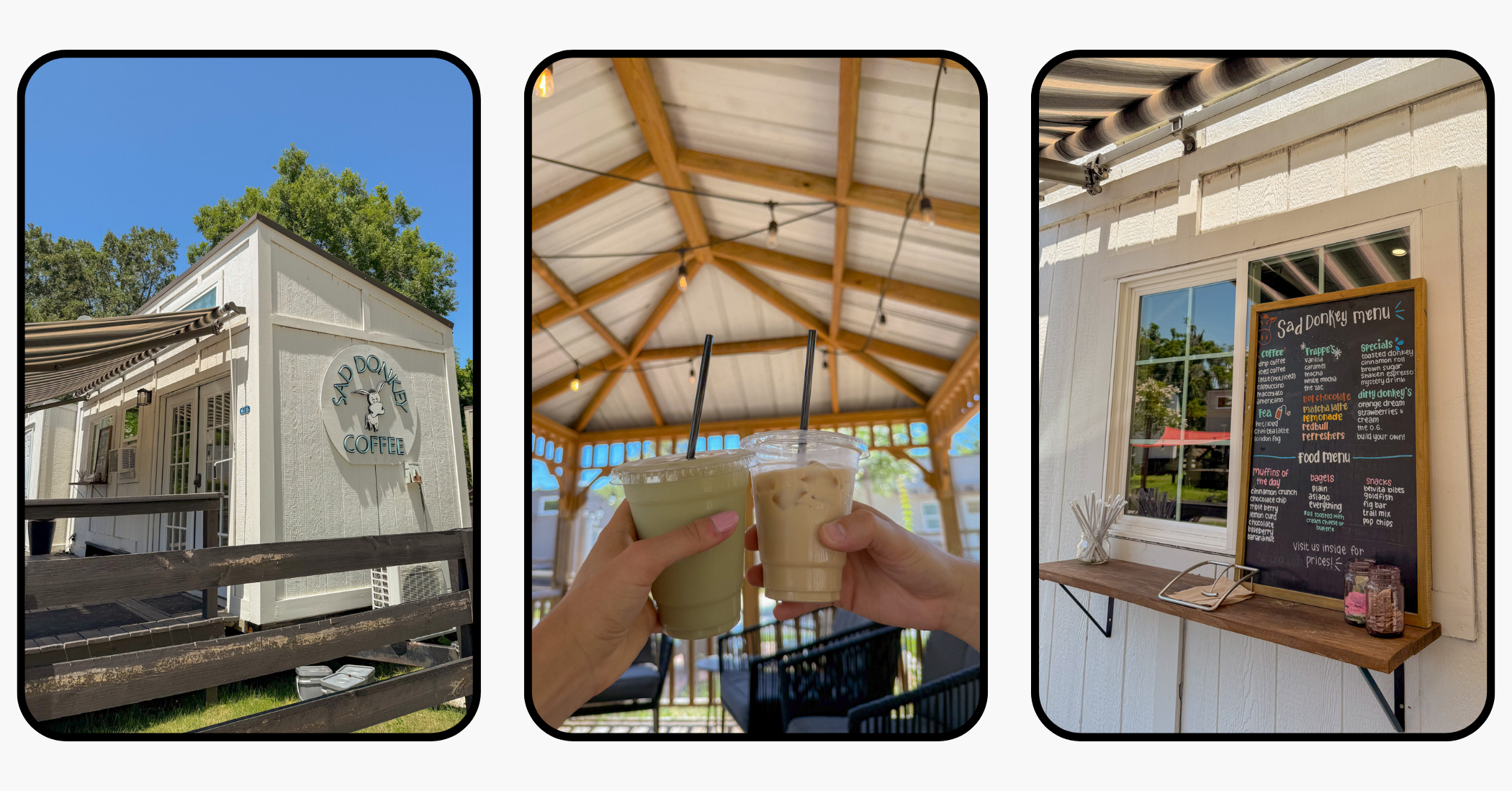 Ultimate Travel Guide to Williston, Florida: Devil's Den, Botanical Gardens, & More Ultimate Travel Guide to Williston, Florida: Devil's Den, Botanical Gardens, & More