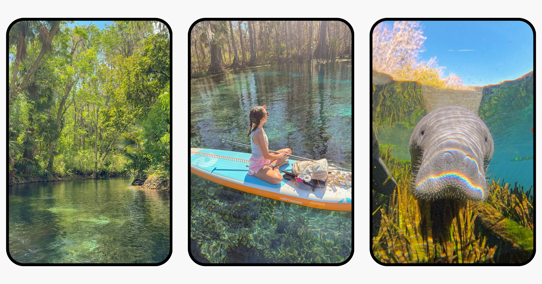 Ultimate Travel Guide to Williston, Florida: Devil's Den, Botanical Gardens, & More Ultimate Travel Guide to Williston, Florida: Devil's Den, Botanical Gardens, & More