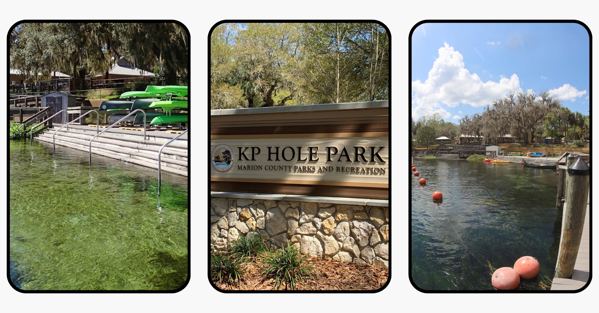 Ultimate Travel Guide to Williston, Florida: Devil's Den, Botanical Gardens, & More Ultimate Travel Guide to Williston, Florida: Devil's Den, Botanical Gardens, & More