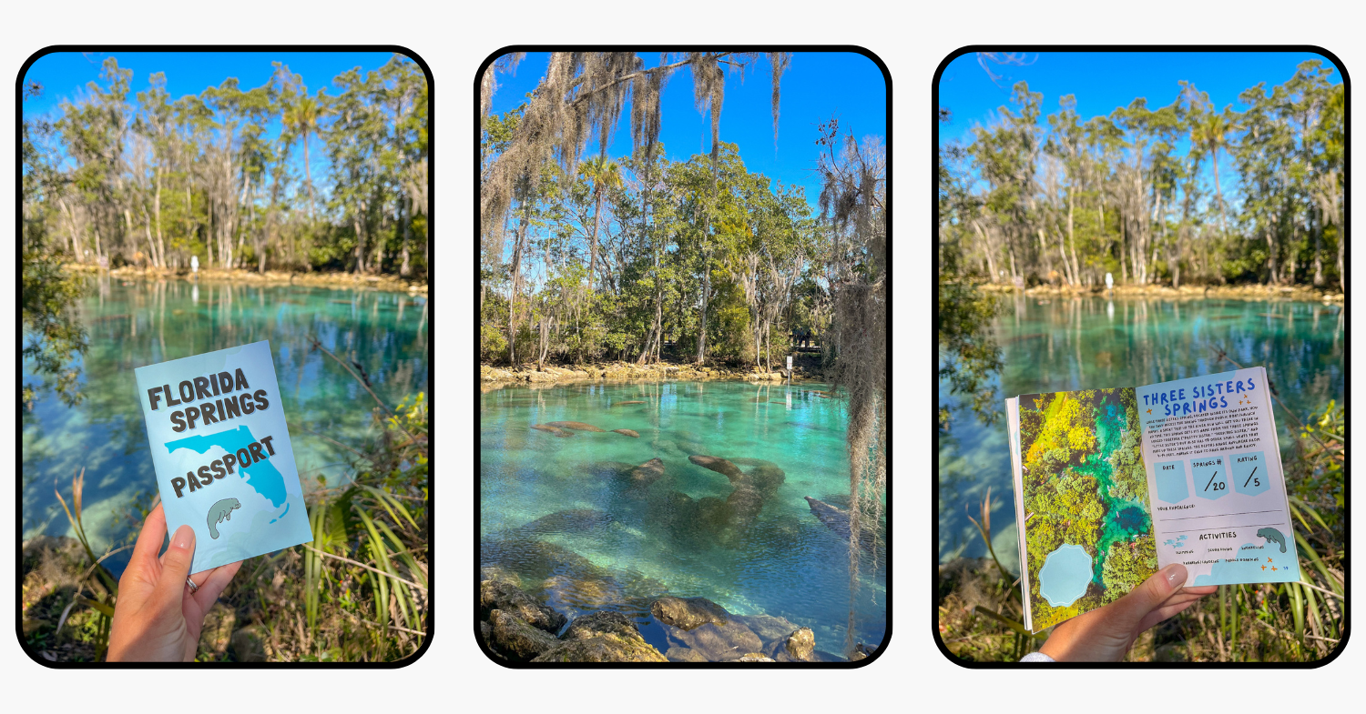 Crystal River, Florida: Ultimate Travel Guide to the Best Manatee Encounters