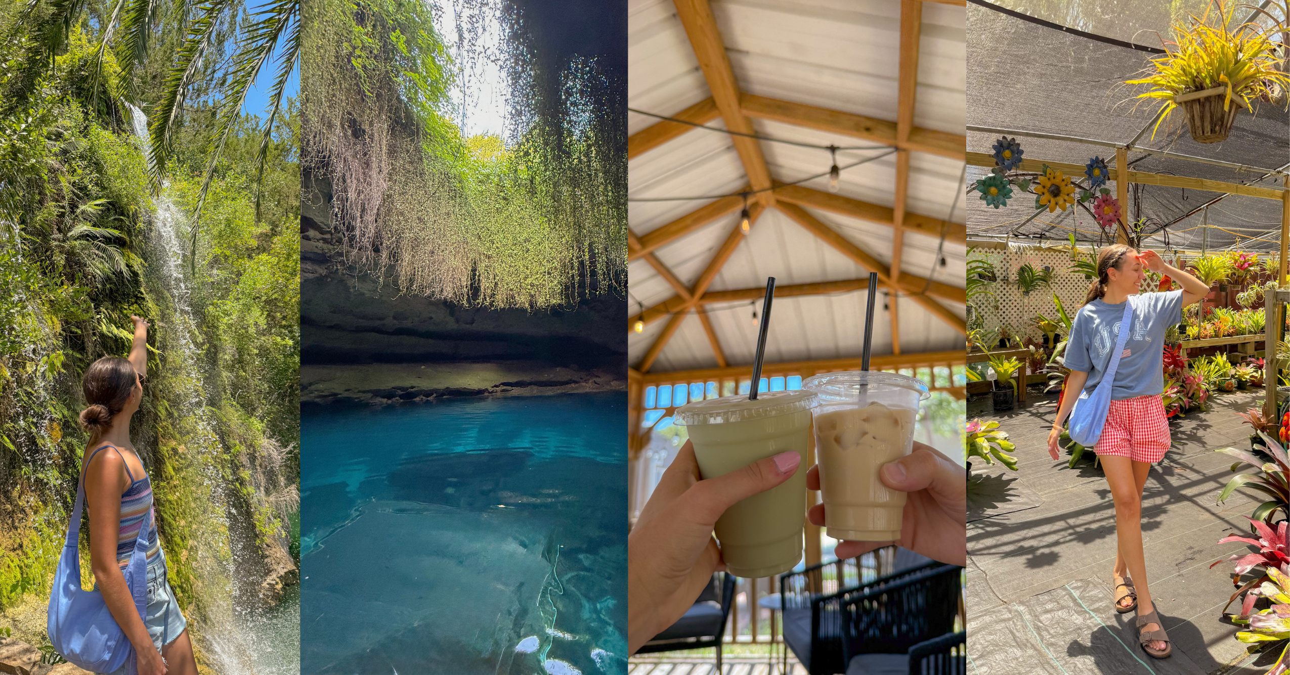 Ultimate Travel Guide to Williston, Florida: Devil's Den, Botanical Gardens, & More