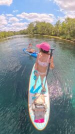 A day at the Florida springs spotting all the wildlife! 🐊🐍🐒🐠 

.
.
.

aligator. gator. water moccasin. cottonmouth. monkey. monkeys. florida springs. paddleboarding. paddle board. ISUP. #floridablogger #floridasprings #paddleboarding